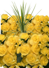 Charger l'image dans la galerie, Arrangement patio 14" - Bégonias Riegers