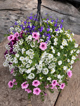 Charger l'image dans la galerie, Jardinière 13" - Supertunias
