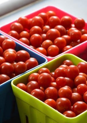 Tomate Cerise Multicolore - Les Paniers de Didier