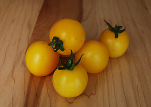 Jardinière de tomates cerises mix