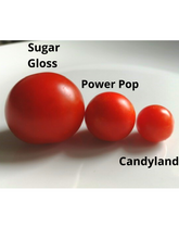 Charger l'image dans la galerie, Patio 15" de tomates Cerise CandyLand Rouge