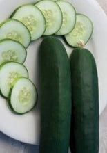 Charger l'image dans la galerie, Concombre de jardin