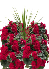 Charger l'image dans la galerie, Arrangement patio 14" - Bégonias Riegers