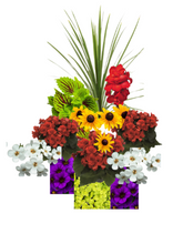 Charger l'image dans la galerie, Arrangement 20"
