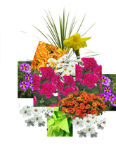 Charger l'image dans la galerie, Arrangement 20"
