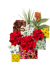 Charger l'image dans la galerie, Arrangement 20"

